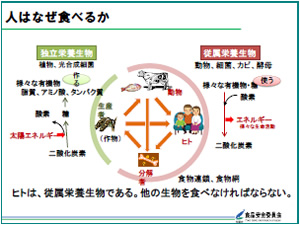 食品の安全確保と食品安全委員会の仕事