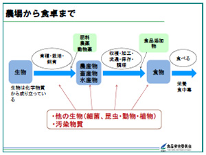 食品の安全確保と食品安全委員会の仕事