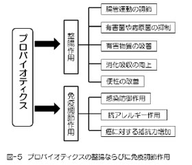 腸管免疫系によるプロバイオティク乳酸菌の働き